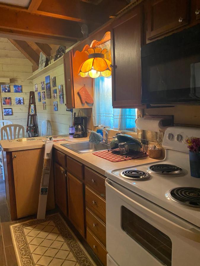 Log Harbor Cabins Okeechobee Exterior photo